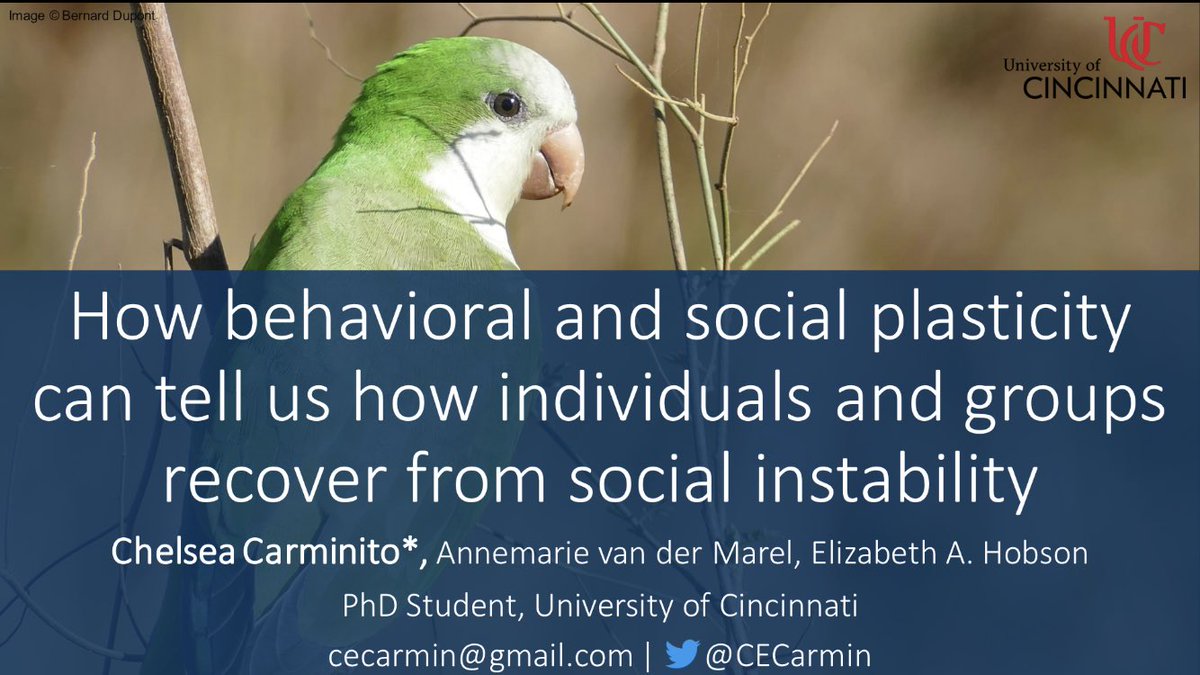 Chelsea 🦜 tweet media