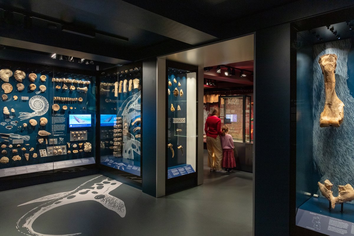 BOB Design tweet media