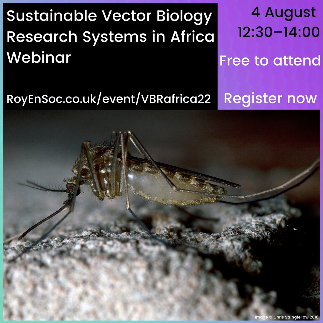 Register for our webinar on #Vector #Biology #Research Systems in #Africa

book now: royensoc.co.uk/event/vbrafric…

<a href="/PIIVeC/">PIIVeC</a> <a href="/lstm_ccr/">Centre for Capacity Research</a> <a href="/LSTMnews/">LSTM</a> <a href="/GCRF/">Global Challenges Research Fund (GCRF)</a> <a href="/cam_crid/">CRID-Cam</a> <a href="/IrssDro/">IRSS.DRO.BOBO</a> <a href="/CNRFP/">CNRFP-Burkina Faso</a> <a href="/TitoTresorMT/">TITO TRESOR MELACHIO TANEKOU</a> @hilary_ranson <a href="/HuguetteSimo/">Huguette Simo</a> <a href="/Lass_Koala/">Lassane Koala</a> <a href="/HyacintheTOE/">K. Hyacinthe TOE</a> <a href="/SadoYousseu/">SADO YOUSSEU Francine Berlange</a> <a href="/SandeuMarcel/">Marcel Sandeu</a> 
#VBRAfrica22