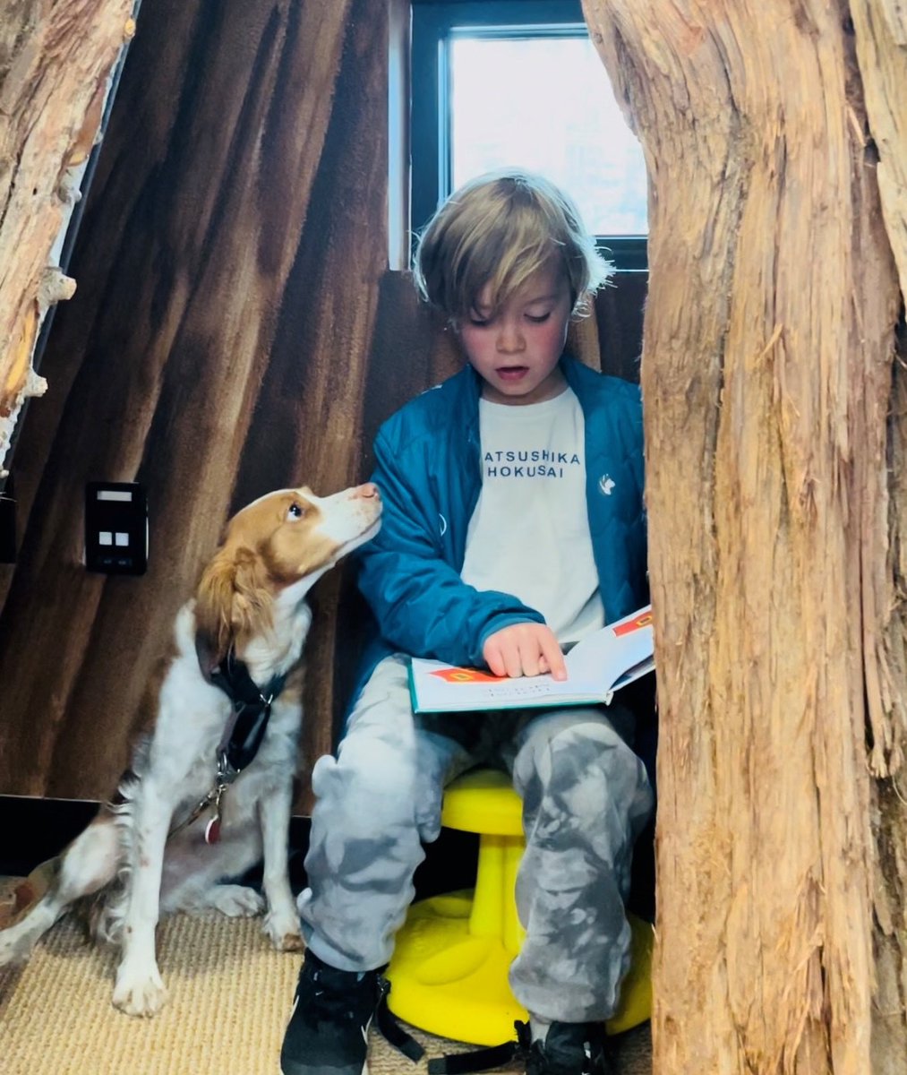 WashoeLibrary's tweet photo. This young patron was caught reading with a friend inside the galis dungal during #Paws2Read at the #InclineVillageLibrary. Do you have a favorite place to read at the Library? Tag us in a pic of your fave reading spot! Use the hashtags #BestPlaces2Read #ReadWashoe https://t.co/P4d5sreSjV