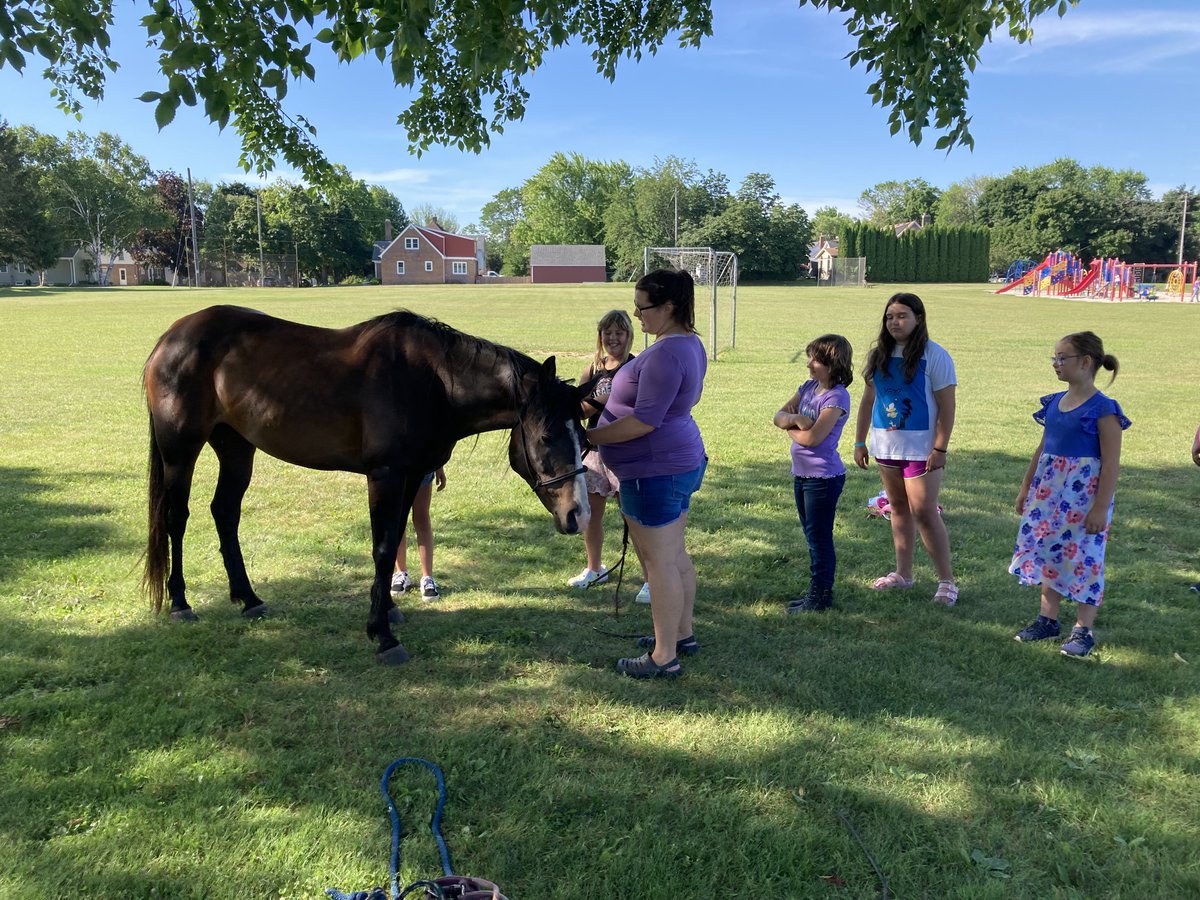 Manitowoc Public School District on Twitter "Is that a real horse
