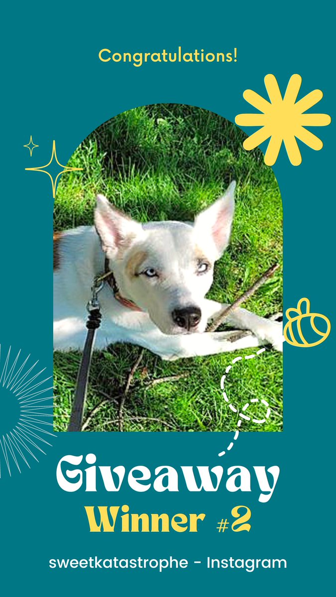 beebutterflyorg's tweet photo. Winner #2 of the Pups &amp; Pollinators giveaway is Kenzie. This sweet girl is getting a goodie basket from @ProjectHivePet, enjoy! 
#dogs #giveaway #savethebees https://t.co/6GGfn5DyA3