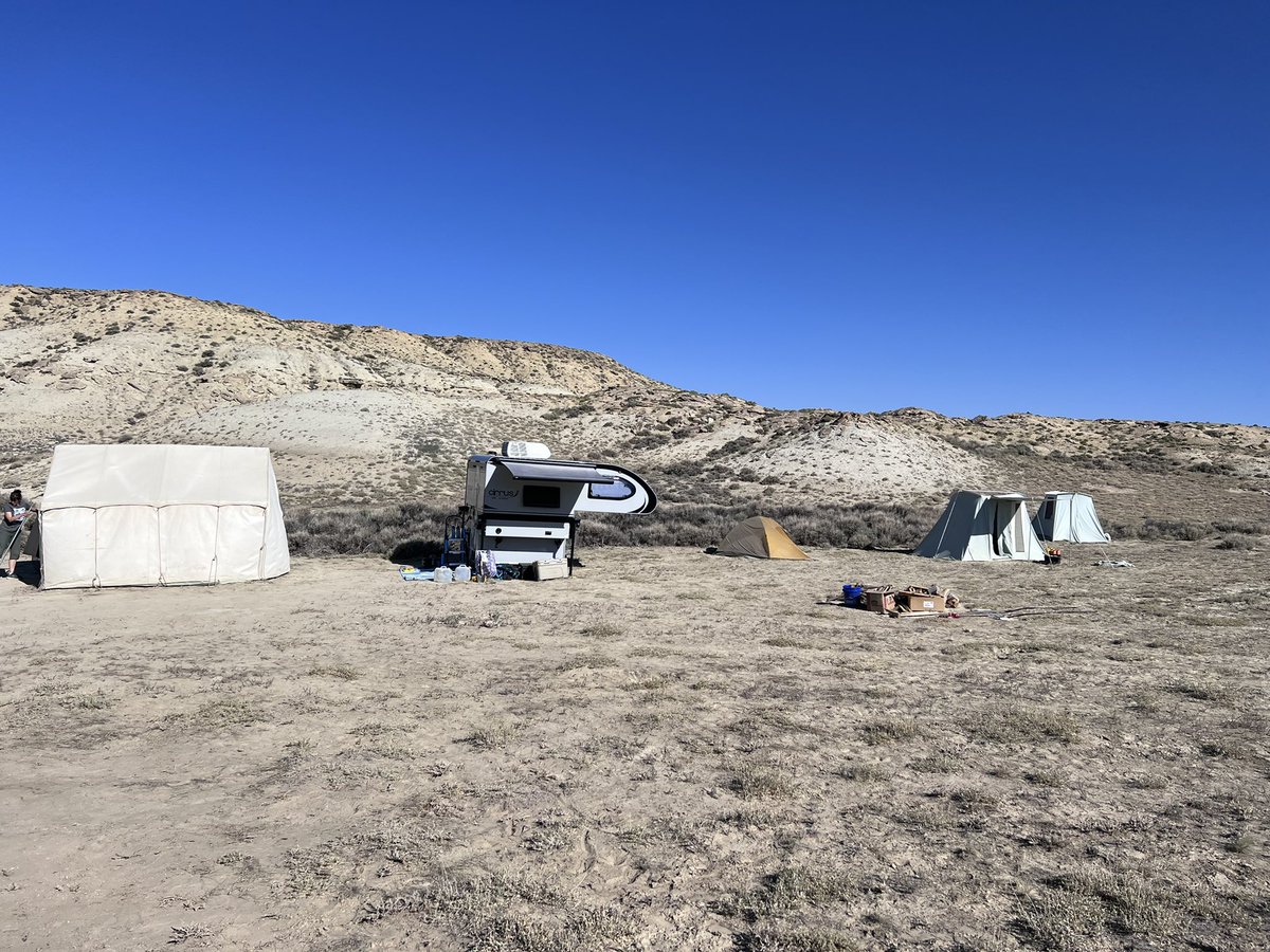 Robert Anemone tweet media