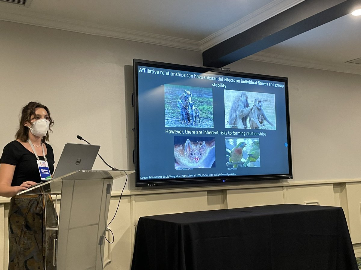 Dr. Marcela E. Benítez 🏳️‍🌈 tweet media