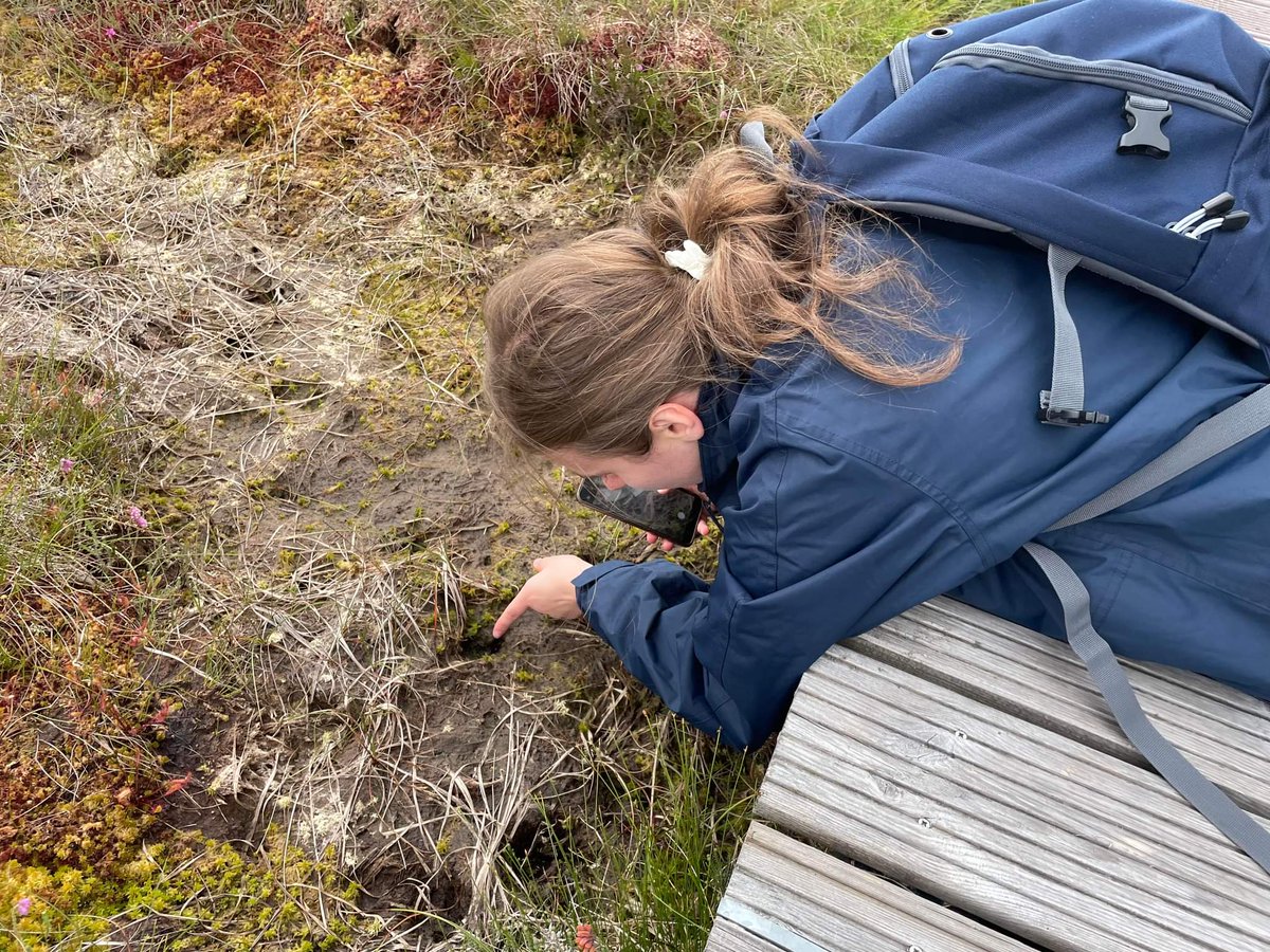 VGudauskyte's tweet photo. First day in Forsinard Flows, identifying the pressures and restoration efforts on blanket bogs with @ninasayswhat and @jacobwalton789. @NTU_ARES @ntu_research @guaduneth #TheBlanketBogProject https://t.co/KAGpaM7D98