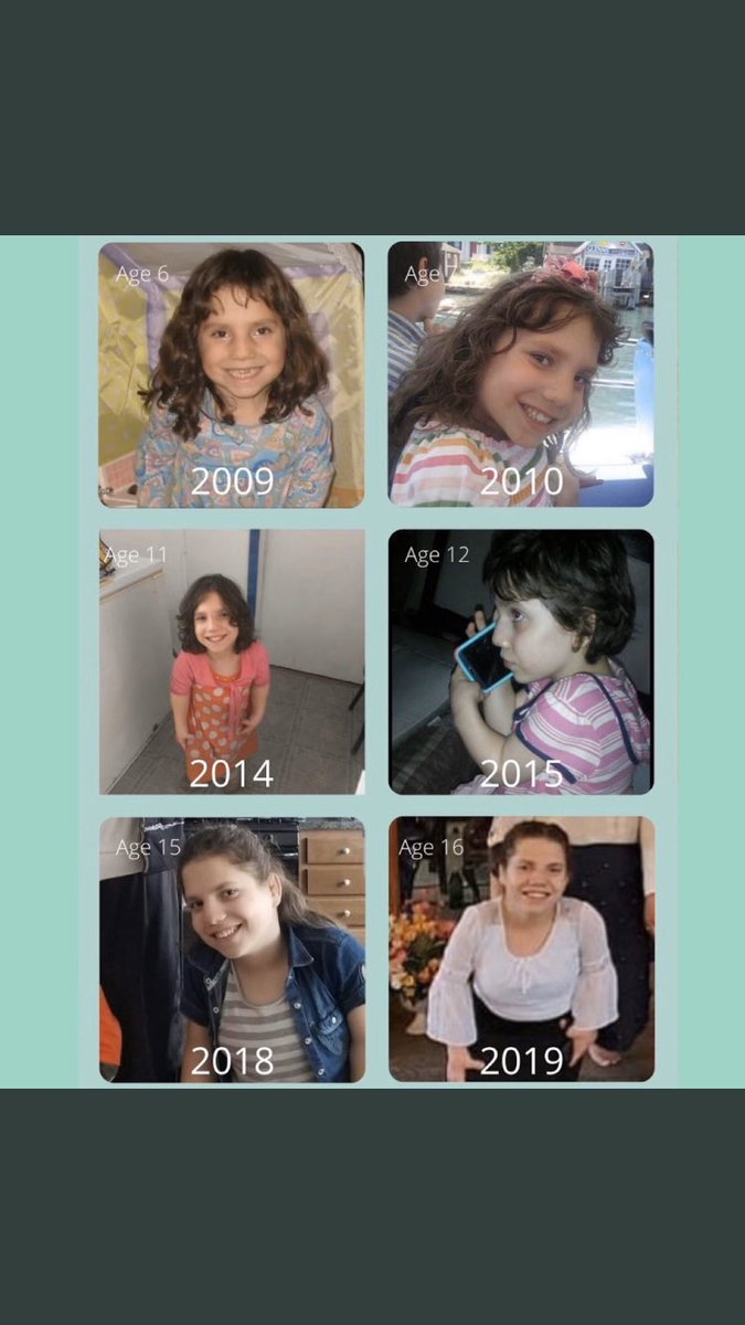 lisa Fan tweet media