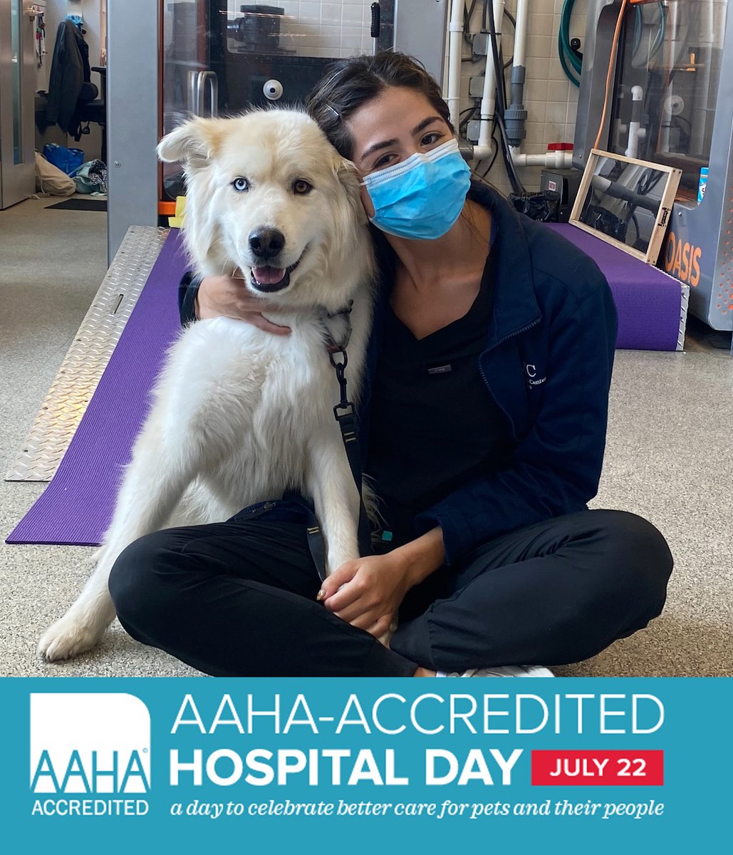 amcny's tweet photo. AMC has been accredited by @AAHAHealthyPet for 46 years!
We are regularly evaluated on 900 quality standards, including safety protocols, equipment, veterinary knowledge, and other areas of veterinary care.
AMC provides the highest level of care to animals! 🐾 ❤️
#AAHADay https://t.co/MnYl5GHnTU