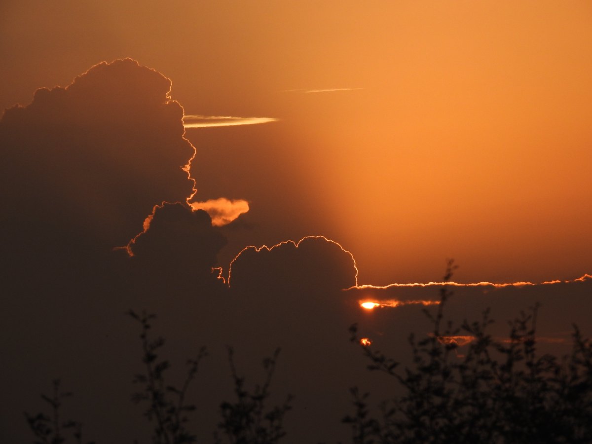 mmatalpur's tweet photo. #StrangeCloud
The Cloud on the Left looks like a Human Face. https://t.co/gnGGcc5xtY