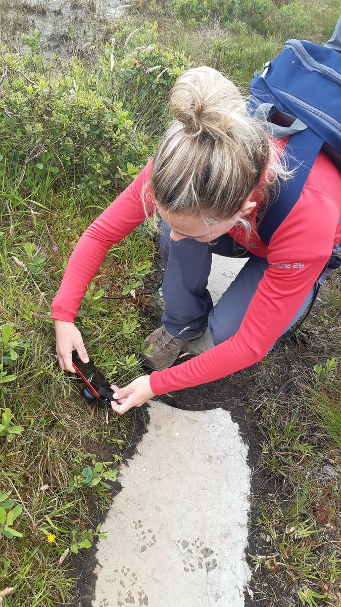 VGudauskyte's tweet photo. First day in Forsinard Flows, identifying the pressures and restoration efforts on blanket bogs with @ninasayswhat and @jacobwalton789. @NTU_ARES @ntu_research @guaduneth #TheBlanketBogProject https://t.co/KAGpaM7D98
