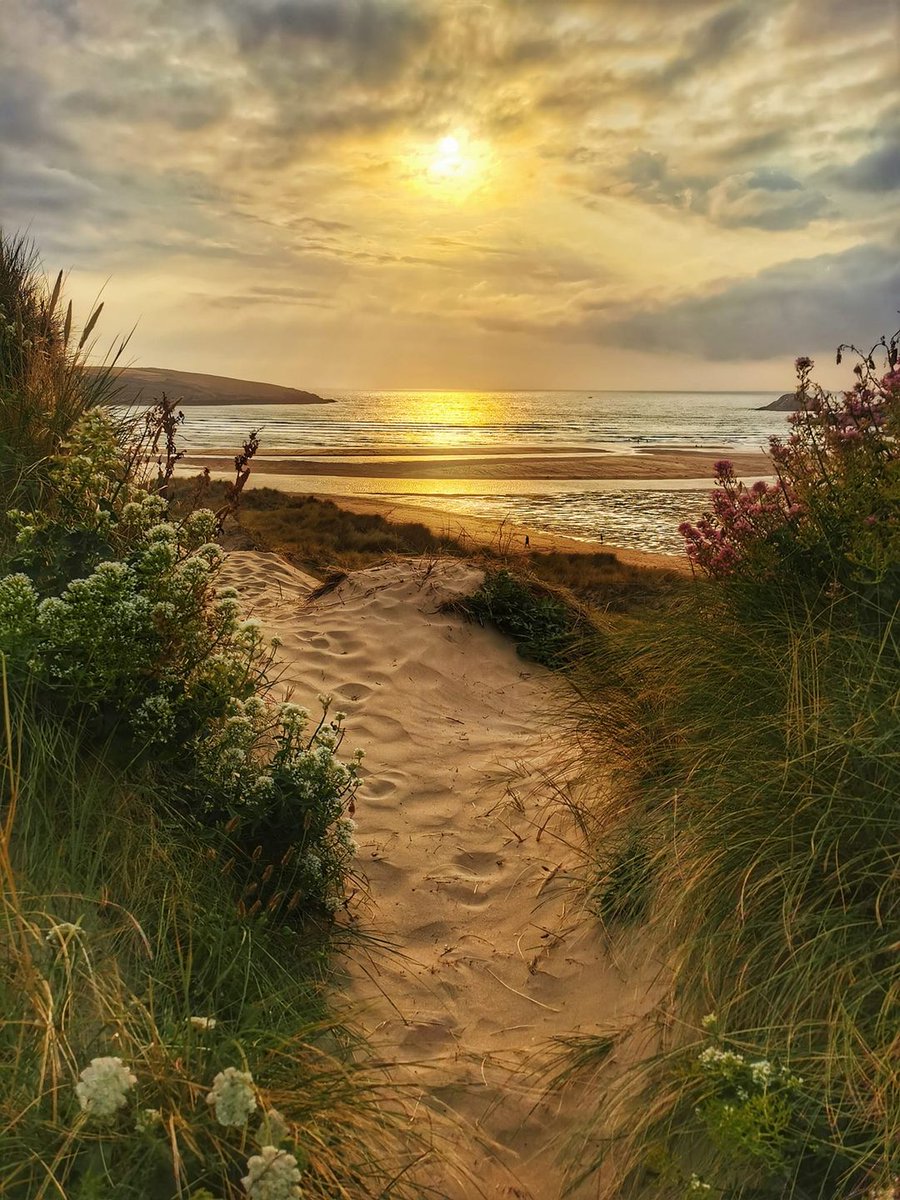 ABeautifulCult1's tweet photo. Crantock beach, Cornwall 🏴󠁧󠁢󠁥󠁮󠁧󠁿 https://t.co/uykY52YUu0