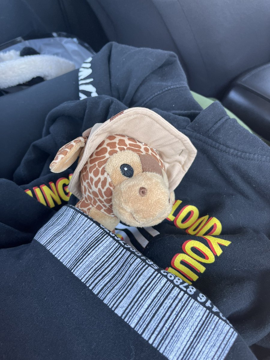 safetypinchicks's tweet photo. Thanks @KateBobke for lending me your Youngblood hoodie for my nap in the car!
•
•
•
@5SOS @Luke5SOS @Calum5SOS @Michael5SOS @Ashton5SOS #5SOS #5SOSminneapolis #lukethegiraffe https://t.co/FAo1MA2M2T