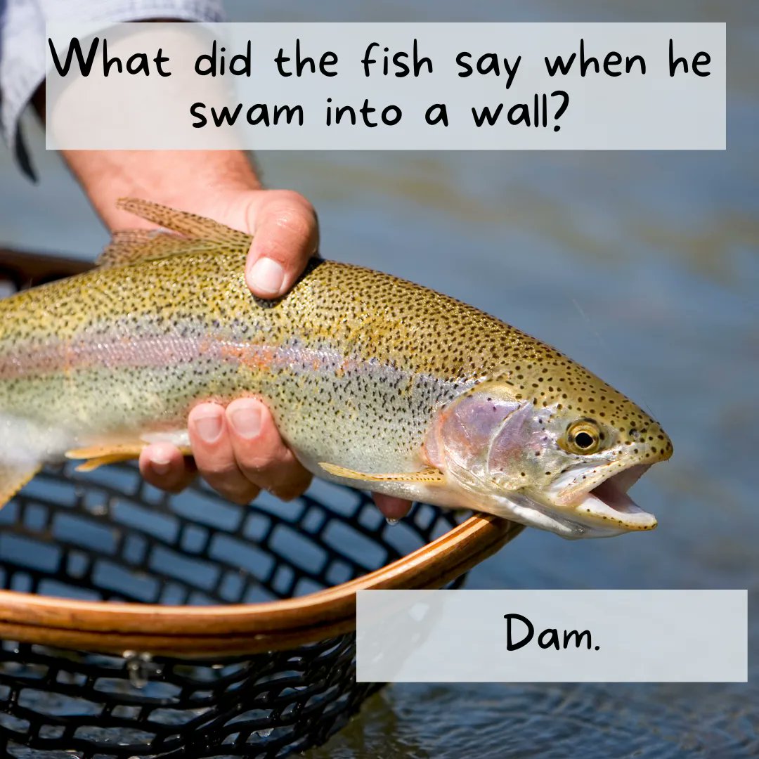 PolywestLtd's tweet photo. #FarmJokeFriday! Is it a farm joke? Not necessarily, but we thought we'd switch it up β just for the hallibut. π
If you've got a better joke to start the weekend off right, let minnow. π
#AgTwitter #CdnAg https://t.co/v9w4OOBhtP
