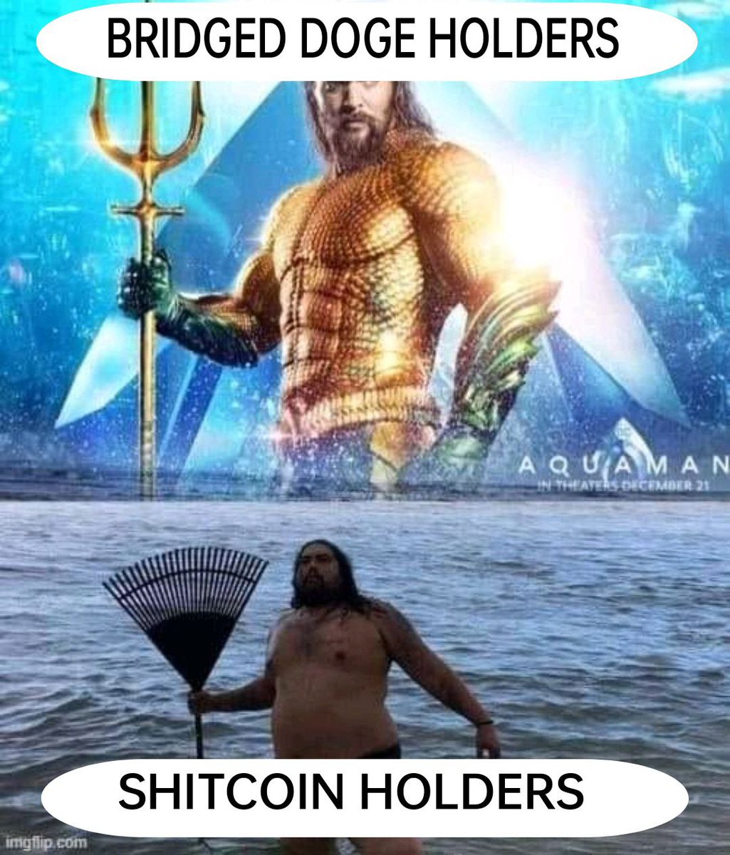 BridgedDoge's tweet photo. @WhaleEverything #bdoge We have a strong community https://t.co/S6Hadjx9Fb