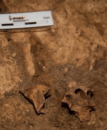 LegadoClio's tweet photo. Los trabajos en el yacimiento de la sierra de Atapuerca siguen generando grandes descubrimientos, el último un nuevo fósil humano hallado en la Sima del Elefante, que pone cara al primer europeo.
https://t.co/YIsjVC3GpX https://t.co/iCfNzVqsfg