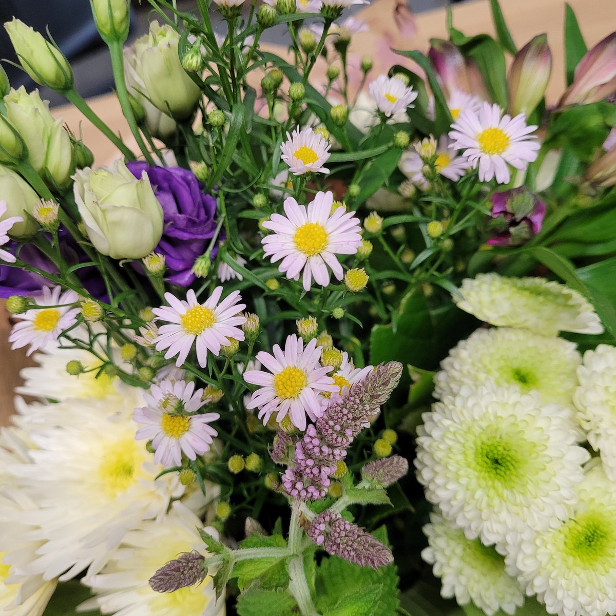 IOERC9's tweet photo. Thank you to the IOERC9 committee and from us all...
A massive thank you to Heather for steering the ship this week ❤ #IOERC9 https://t.co/f8q88OX3v2