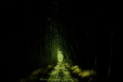 I let go of all efforts to eliminate this dryness or darkness with my effort.
Instead, I simply trust Jesus where I am.
I sit and wait peacefully in the dryness or darkness.
I center more on my desire for God than on intellectual effort.

meatformaturity.org/how-to-walk-th…