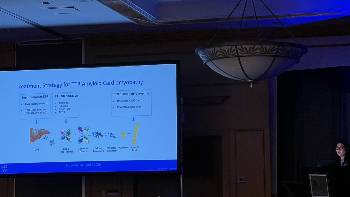 roeckler's tweet photo. @Grace_Lin_MD with a nice overview of the treatment of AL & TTR amyloid - distinct diseases, treatments. More common than previously thought. Identify & intervene early for best outcome. Benefit of combo tx (silencers & stabilizers) in wild type & hereditary TTR? #Echo #Alaska https://t.co/TsbaaortDY