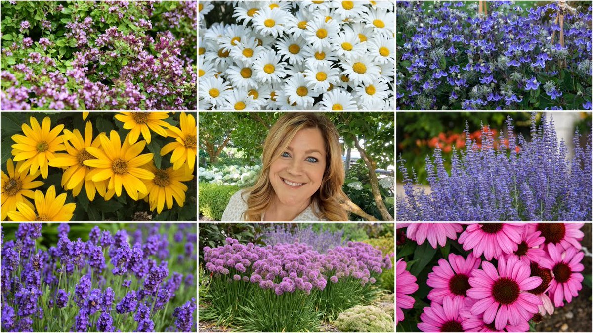 AllForGardening's tweet photo. #Garden #Answer: 10 #Perennials ...
 
#Beautiful #Bush #Dirt #Diy #Earth #Fall #Flower #FunDIY #GardenAnswer
 
https://t.co/pNpJmNwmIW https://t.co/qZqVWS9fWS