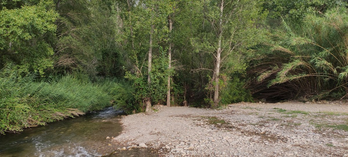 C_sempervirens's tweet photo. Esta es la realidad del Mijares a su paso por Cirat, fuera de los lugares donde se embalsa el agua para el baño, el caudal del río más importante de las comarcas de Castellón es una vergüenza! Por un caudal ecológico digno! Que se cumpla n los estudios técnicos de @CHJucar. https://t.co/VoDagkUYHP