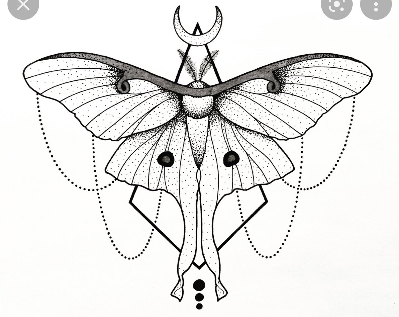 Luna Moth в полёте эскиз