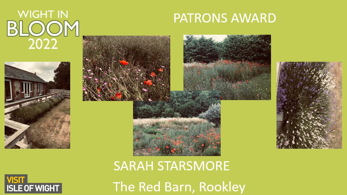 WightinBloom's tweet photo. We had a new Patrons award won by The Red Barn who's meadow was stunning. 
The overall winner was Richard Ridley who's edible garden wowed the judges as well as growing fruit and veg also produces honey from his own bee hives. 
Well done to everyone who was shortlisted 💐 https://t.co/UrsOHucjjL