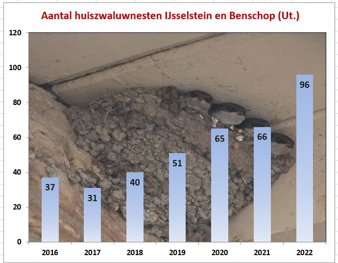 Gerrie Abel tweet media