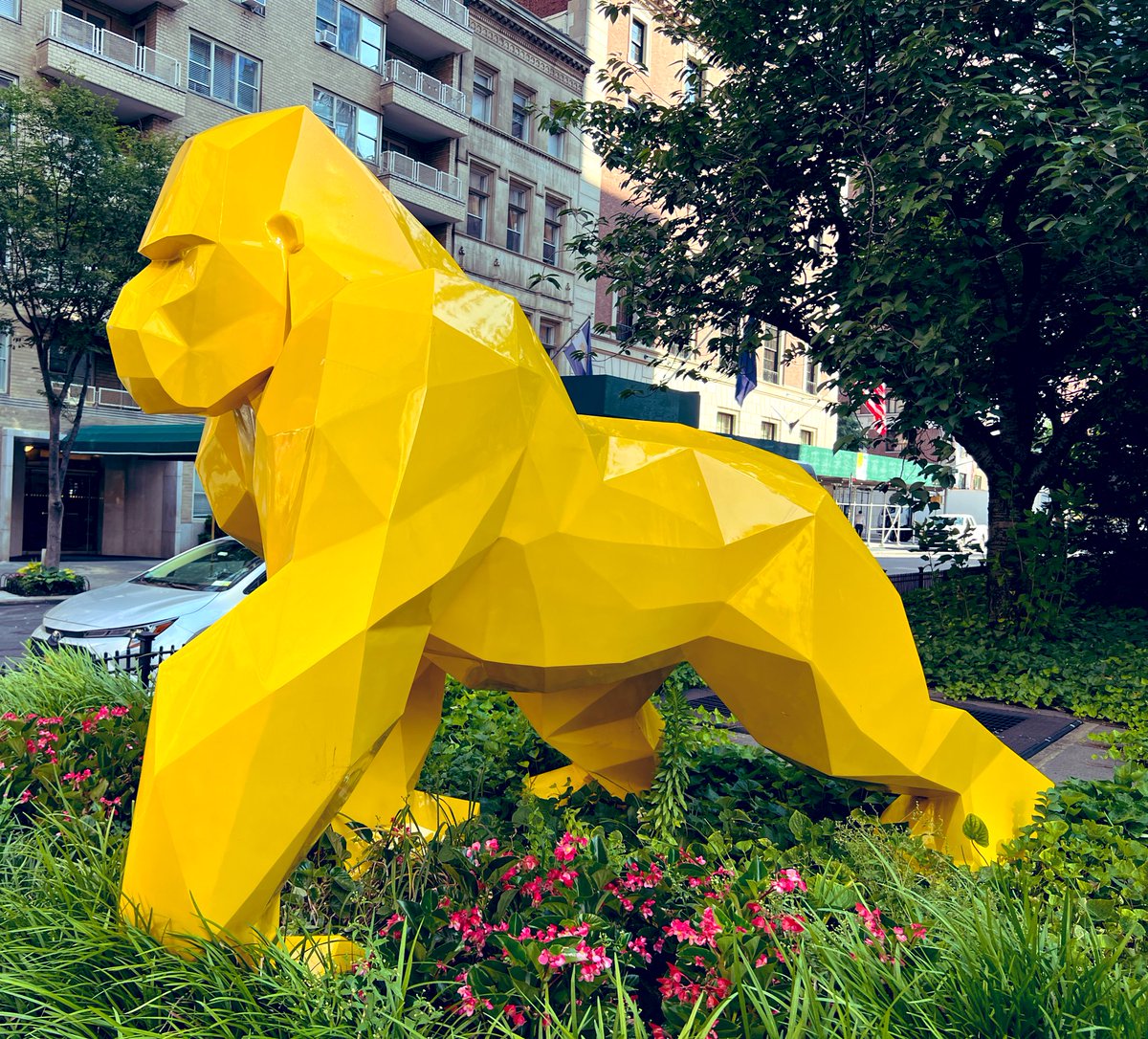 NYCconditions tweet media