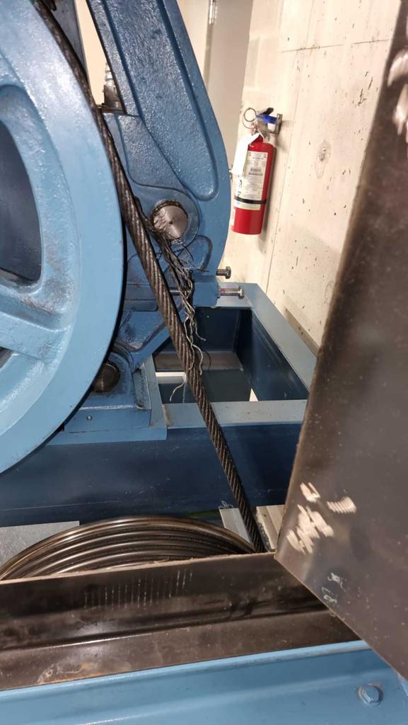 Midori Strata Council tweet media