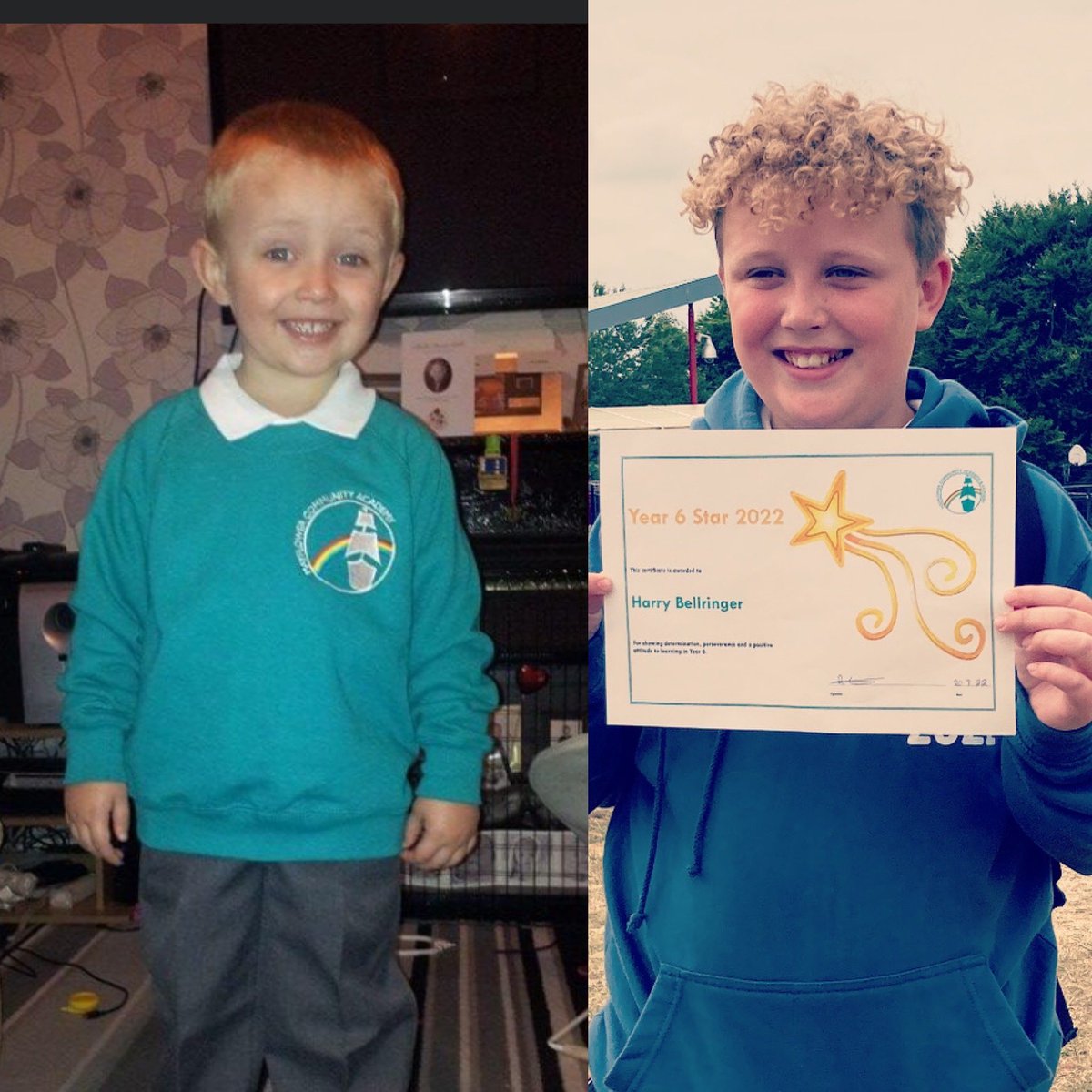 Paul Bellringer tweet media