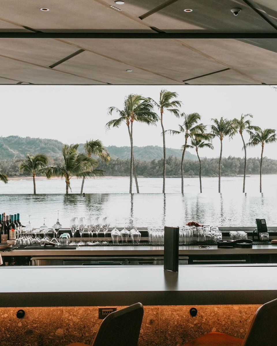 Turtle Bay Resort tweet media