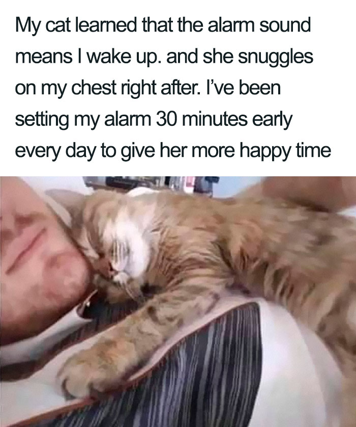 WholesomeMeme's tweet photo. https://t.co/40Ywba1Tl3