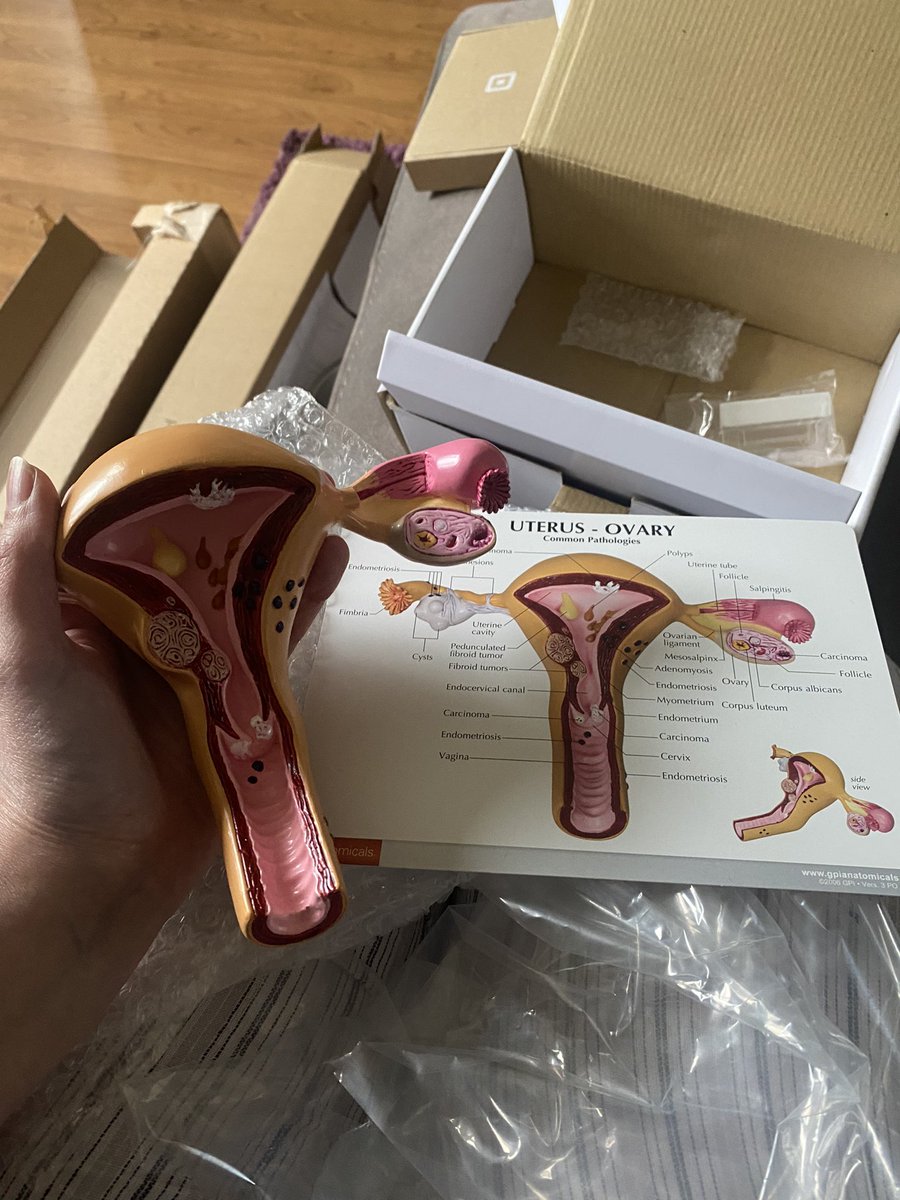 HEY Endo tweet media