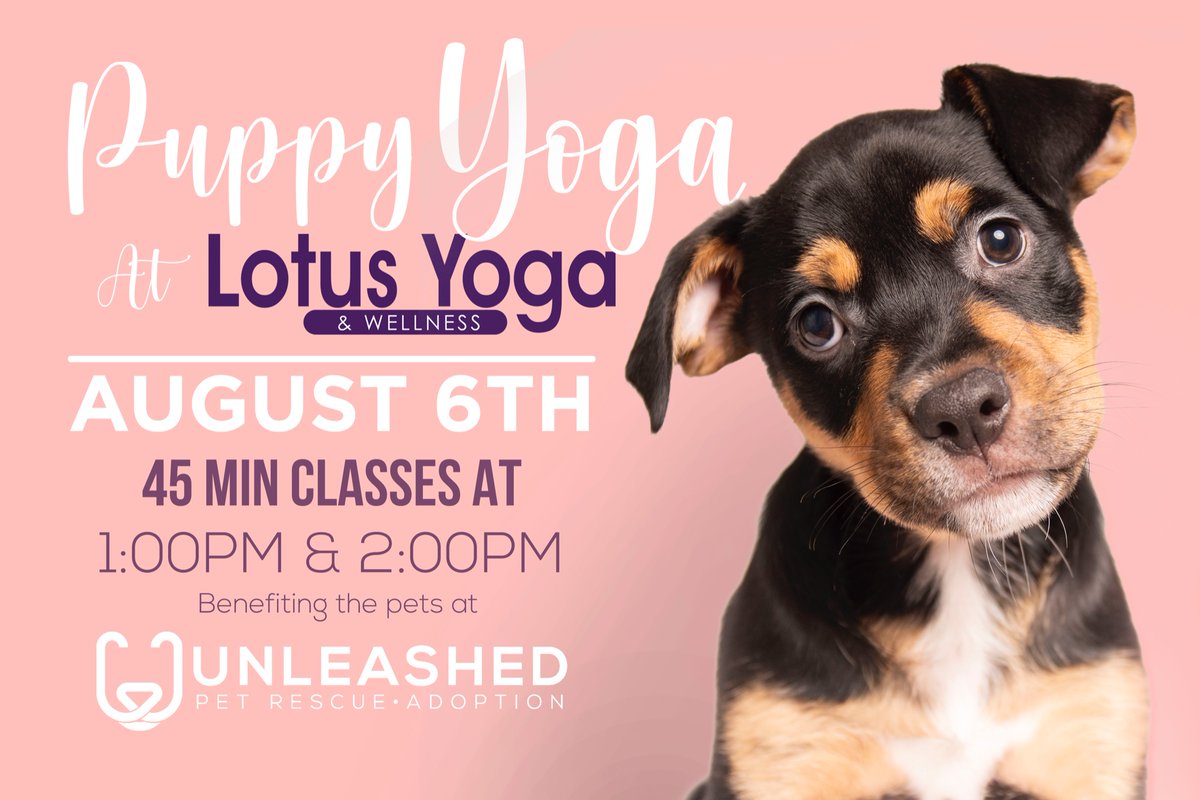 Join us for PUPPY YOGA 8/6 with our friends at Lotus Yoga and Wellness! 💞✨🧘‍♀️🧘🐕✨💞
Treat your mind and body to invigorating yoga, and your heart to the most ADORABLE puppies! All proceeds go back to our shelter pets and rescues! 💗🪷
Register now! 🔜 bit.ly/PuppyYogaLotus