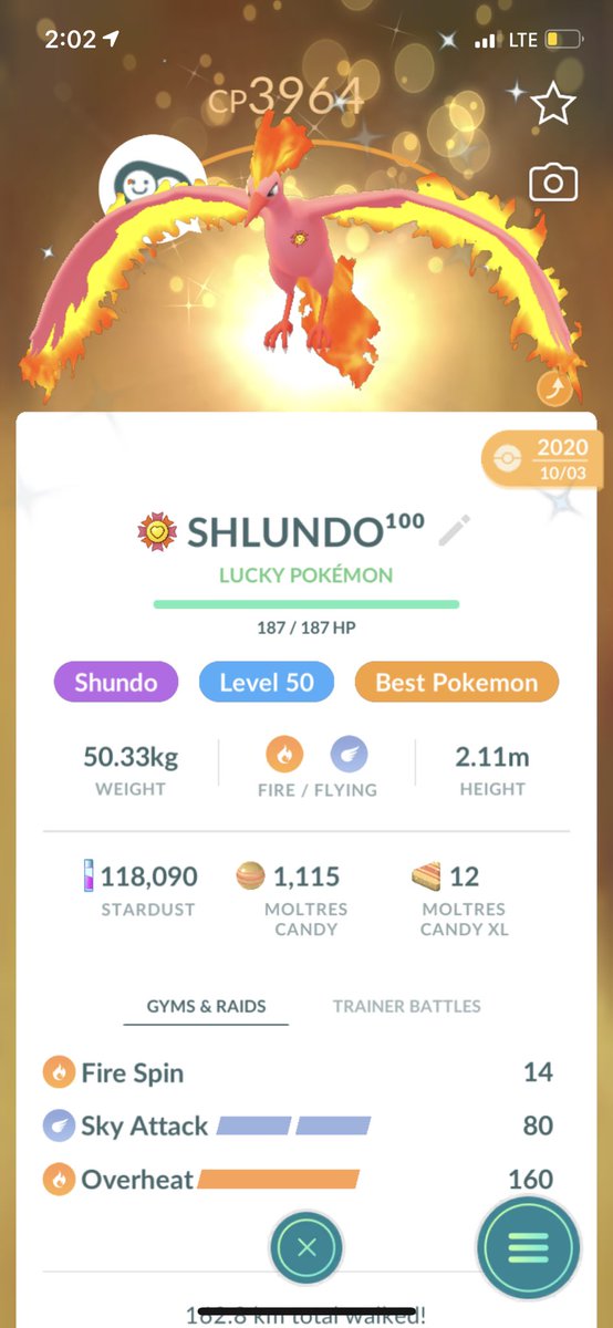 Oci_Goofy's tweet photo. Level 51, 100%, lucky, shiny, Moltres Finally I have been able to max this beauty! #ShinyPokemon #Pokemon #PokemonGO #shundo #shlundo #maxedout https://t.co/HeAjMCOmFT