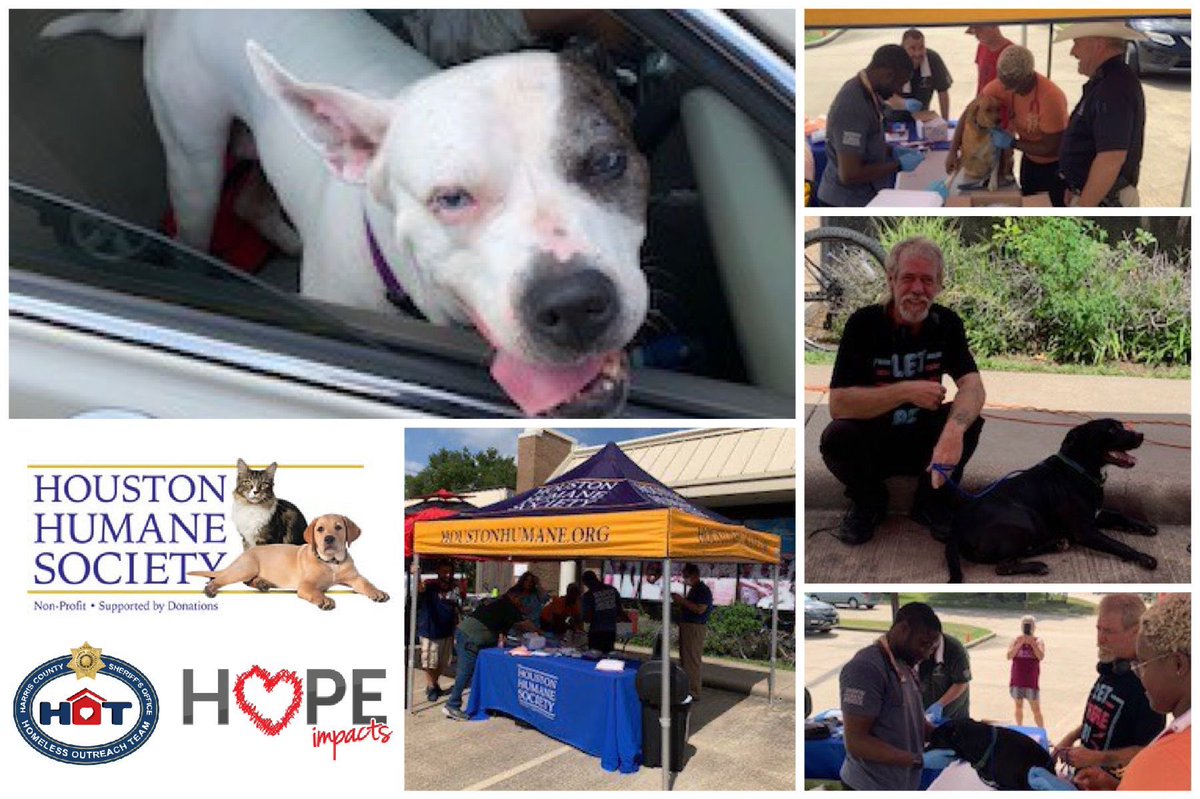 HCSO_MikeLee's tweet photo. Our @HCSOTexas HOT teamed up with #HoustonHumane to vaccinate #homeless pets; a total of 1οΈβ£2οΈβ£ pets received treatment at #HopeImpacts yesterday. Pets are a lifeline for those experiencing #homelessness & truly become their family. Thankful for our partnership w/@HoustonHumane! https://t.co/se9nzGeSaq