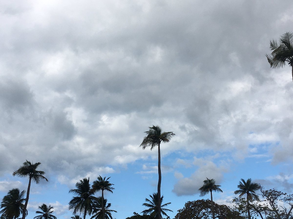 ___WhiteForest's tweet photo. Good Evening! #nftphotography #nftcollectors #NFTFam #NFTCommunity #NFTfamily 

I think i’t gonna rain 🌧 

Check out my Landscape collection: https://t.co/SedeBWnmHV https://t.co/FdAPp6cTYo