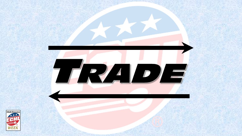 ECHL Week tweet media