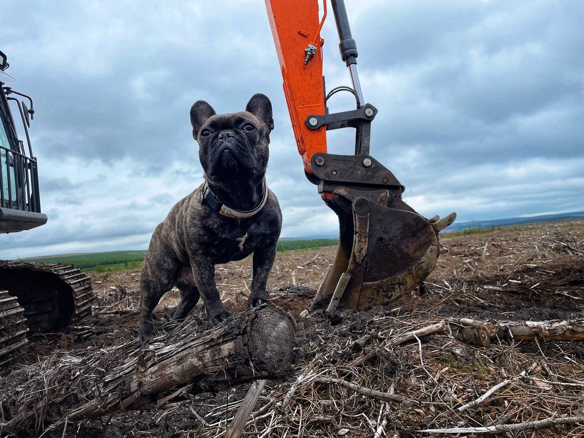 Jenson keeping an eye on the job