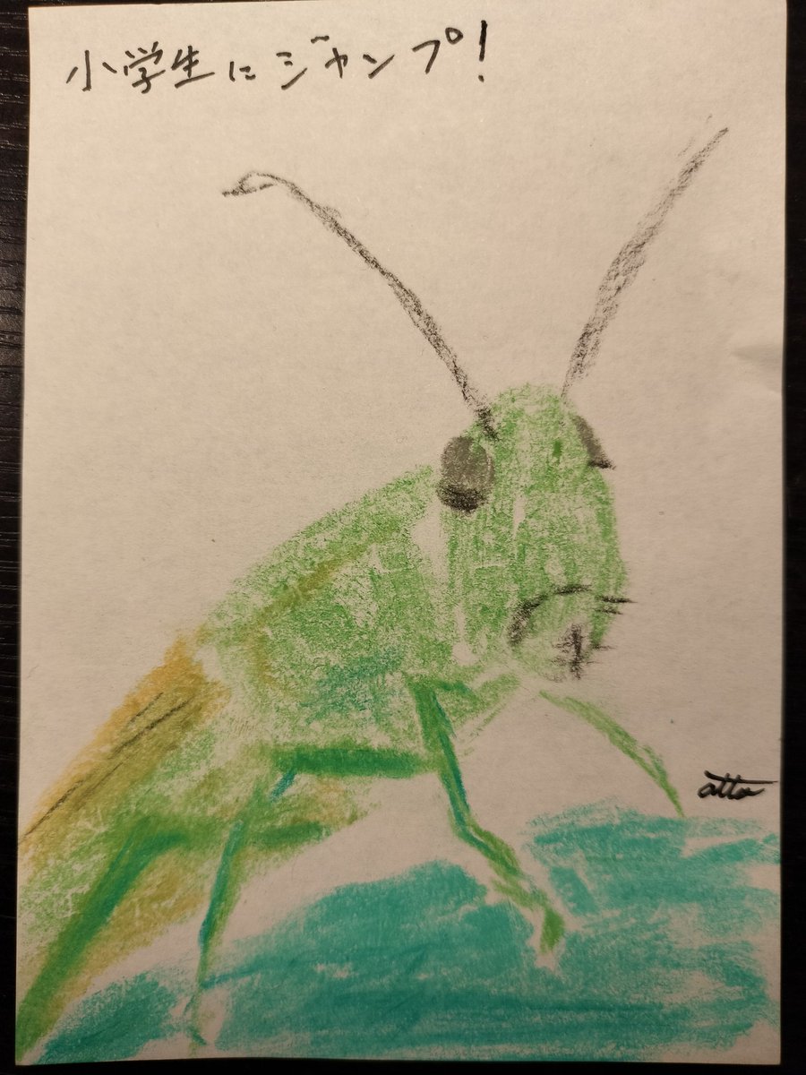 バッタ のイラスト マンガ コスプレ モデル作品 46 件 Twoucan