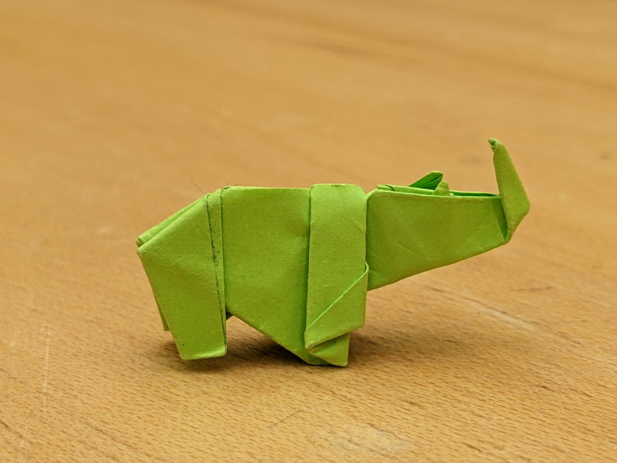 Oh wait, what did we find wrapping up? 🦏😁