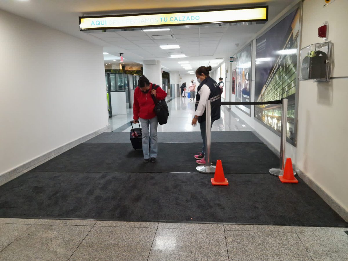 AgrocalidadEC's tweet photo. @Aeropuerto_GYE @AgriculturaEc @bmanzanod @PatoAlmeidaEc @ComunicacionEc @Presidencia_Ec @INIAPECUADOR @Aeropuerto_AAG @aebeecuador @acorbanec 🤝Estas acciones se enmarcan en la Estrategia Nacional de prevención del ingreso de #FocR4T al país. La desinfección en puertos y aeropuertos es fundamental para mantener a #Ecuador libre del hongo.

¡Es responsabilidad de todos cuidar nuestro patrimonio agropecuario🇪🇨! https://t.co/rh98SOrQNF