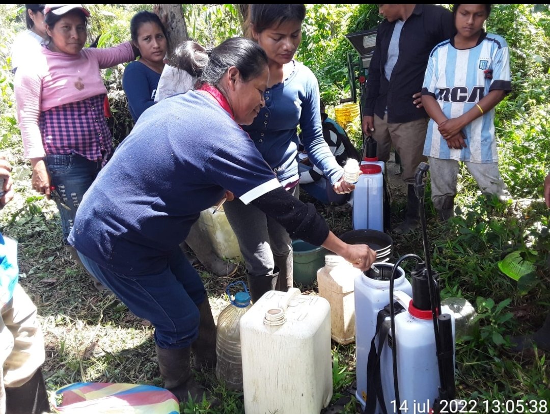 ProyectoAtpa's tweet photo. #Morona mediante el proyecto #ATPA participó en las ECAS del café  en Pikiur, parroquia Sevilla don Bosco, monitoreo de afecciones fungosas, broca y podas en los cultivos de: Esther Pacho, Pedro Sasek, Rita Wuamp, Clever Waump y Guillermo Wajay. https://t.co/JUQ7Qw4Sk8