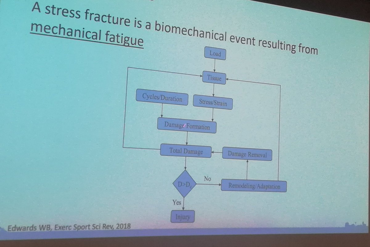 Marie-Caroline Play tweet media