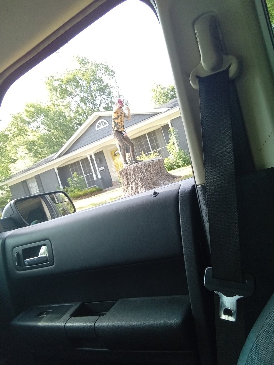 toughstuffsteph's tweet photo. The devils landscaping company should be called deez on treez.. https://t.co/n6cWRlm7c7