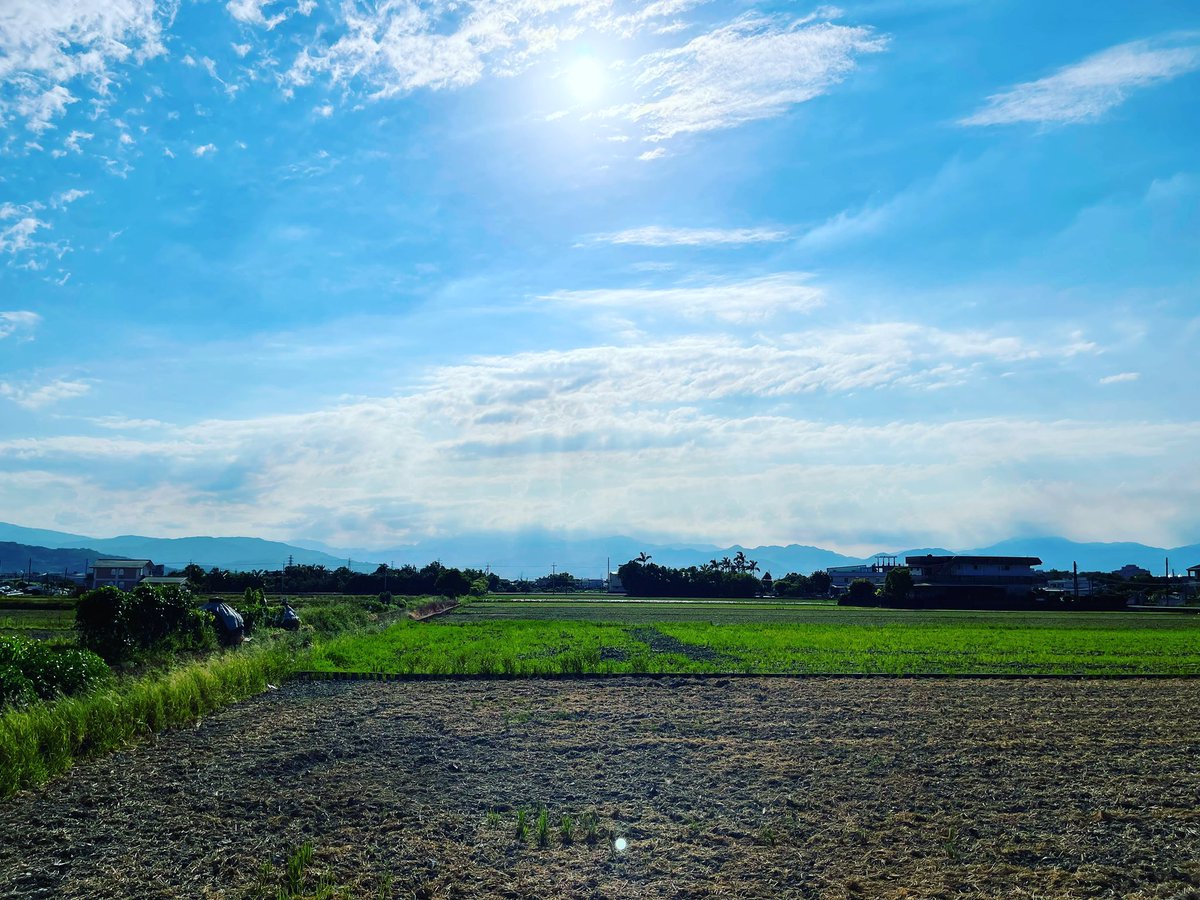 weiwei_man's tweet photo. 早上工作好熱
晚上都熱到睡不著🫠
睡醒會去台北
禮拜日回來
晚上有空檔😆 https://t.co/wdWIOWwYsF