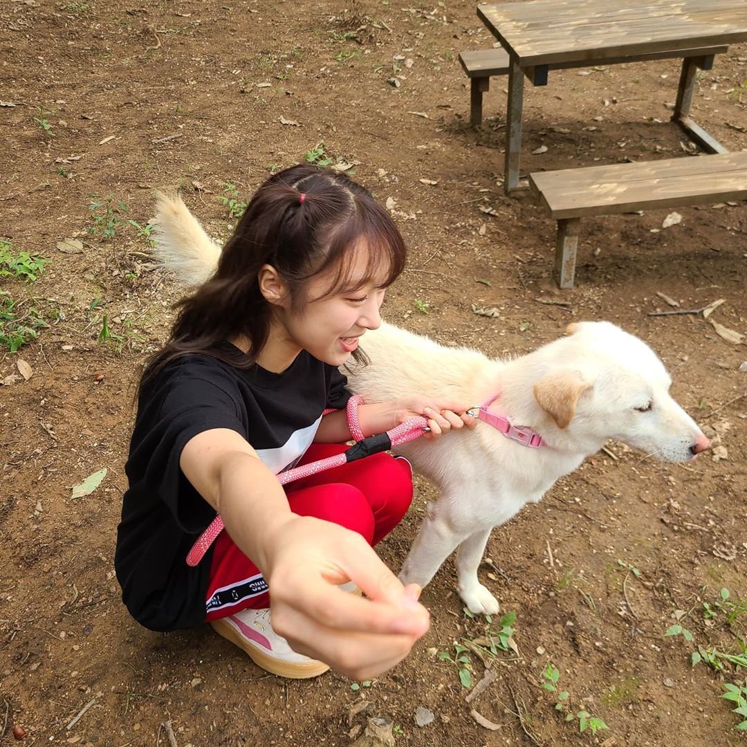 Con mi Lucky nos fuimos al #𝙼eriri·𝚍ebut porque somos los más emocionados de estar cantando #𝑖𝙿𝑜𝚙𐀔𝚢ou desde la primera fila. Le deseamos muchísimo amor a la bonita Meri en este evento, que todo salga de maravilla.

#𝗖HERRY -- 𝒃omb 🍒˖ ࣪ ♡