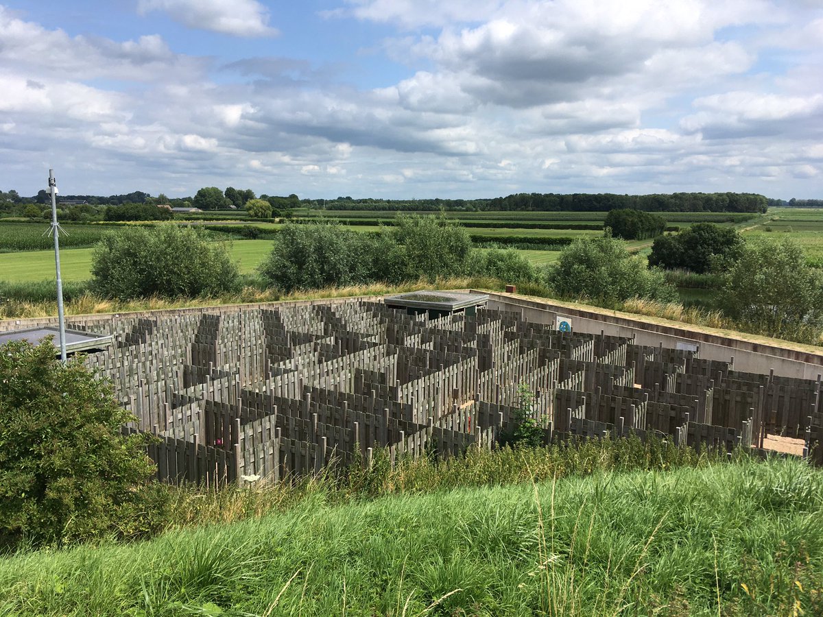 jmvierbergen's tweet photo. Dit doolhof hebben we vandaag overwonnen! Door als een zalm al ruikend onze weg te zoeken. Die neuzen van ons bleken het prima te doen ๐ #Geofort https://t.co/iOFbhksZUY