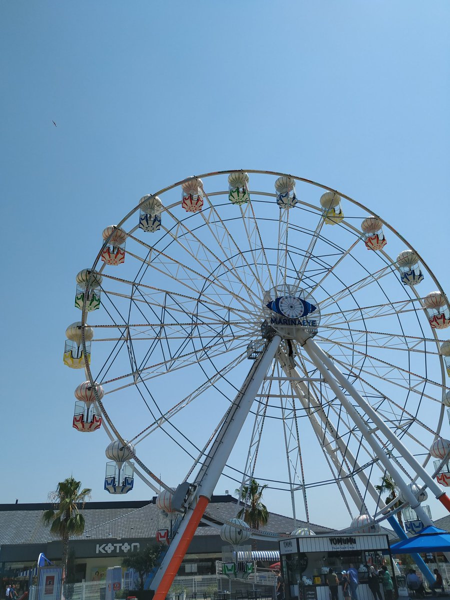 Evet sadece izliyorum