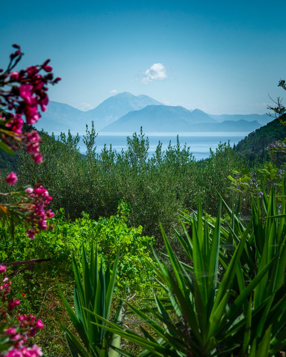 The island of Ithaki, close to Kefalonia in the Greek Ionian Islands, is nothing short of idyllic. Here the views looking east across the lush vegetation towards the Greek mainland are simply outstanding #Greece #travel #travelphotography #vacationvibes #vacations