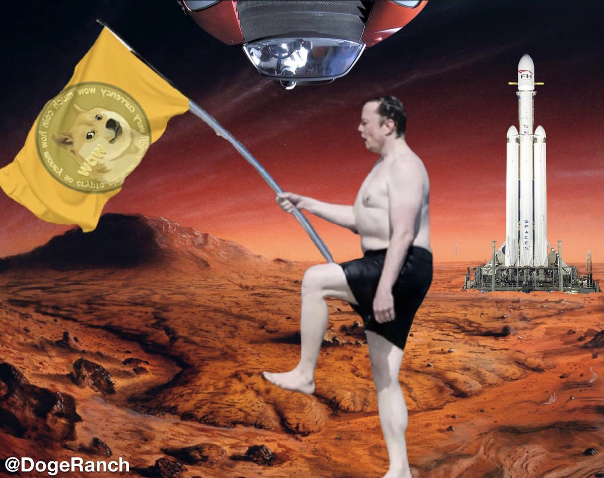 RancellDgb's tweet photo. @elonmusk https://t.co/E0F7QF8wQP
